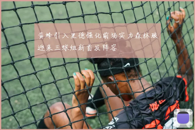 黄蜂引入里德强化前场实力森林狼迎来三球组新首发阵容