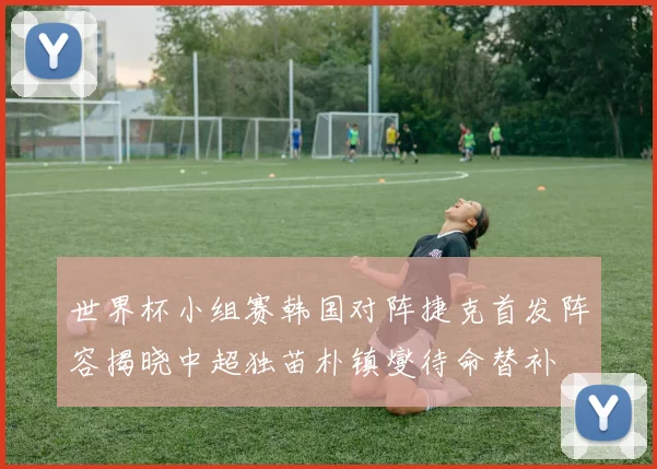世界杯小组赛韩国对阵捷克首发阵容揭晓中超独苗朴镇燮待命替补